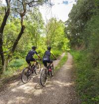 La ruta en bicicleta que no puedes perderte en Navarra