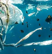 Esta es la ‘súper-isla’ de basura plástica, el triple de grande que España y que crece cada año